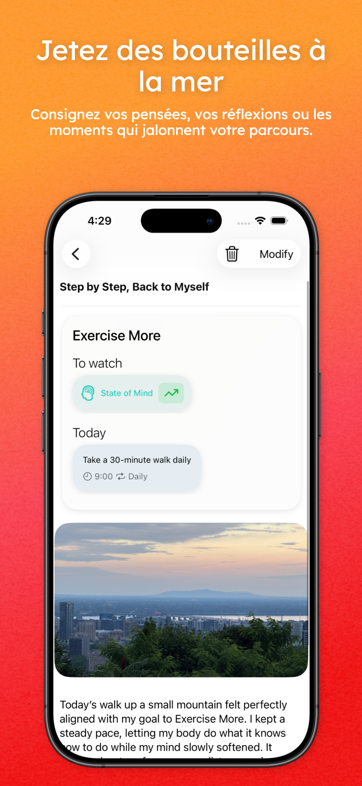 Capture d'&eacute;cran 5